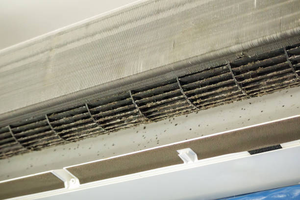 Best Air Vent Cleaning Services  in Lockwood, MT